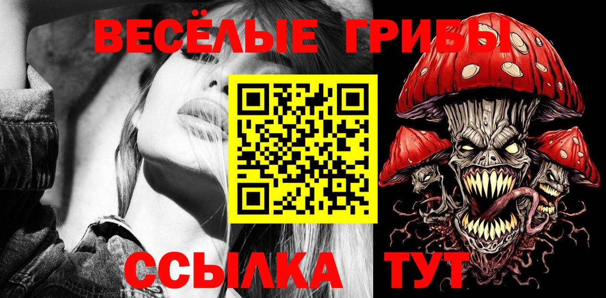 Псилоцибиновые грибы Cubensis Жуковский
